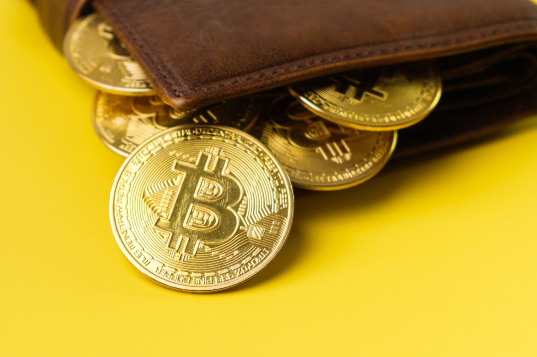 Recent Updates from Blockchairs and the Digital Security World